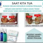 penuaan organ penuaan organ